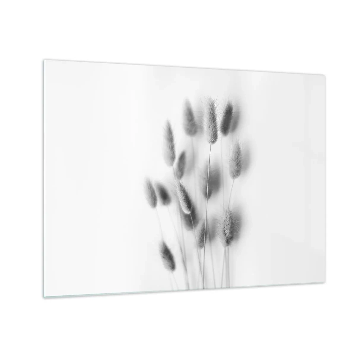 Quadro em vidro - Orelhas de grama pretas e brancas sobre fundo claro em estilo minimalista - 70x50cm - Grama fofa - Decoração de parede moderna para a sala de estar e quarto ARTTOR
