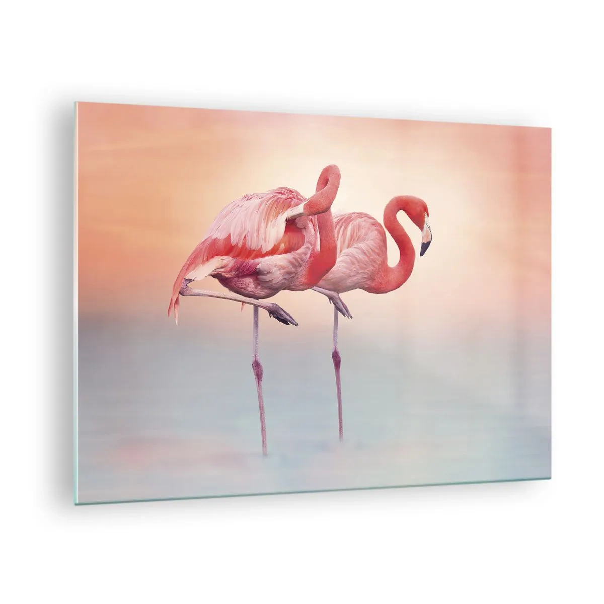 Quadro em vidro - Dois flamingos em pé na água com um pôr do sol em fundo pastel - 70x50cm - Na cor do sol poente - Decoração de parede moderna para a sala de estar e quarto ARTTOR
