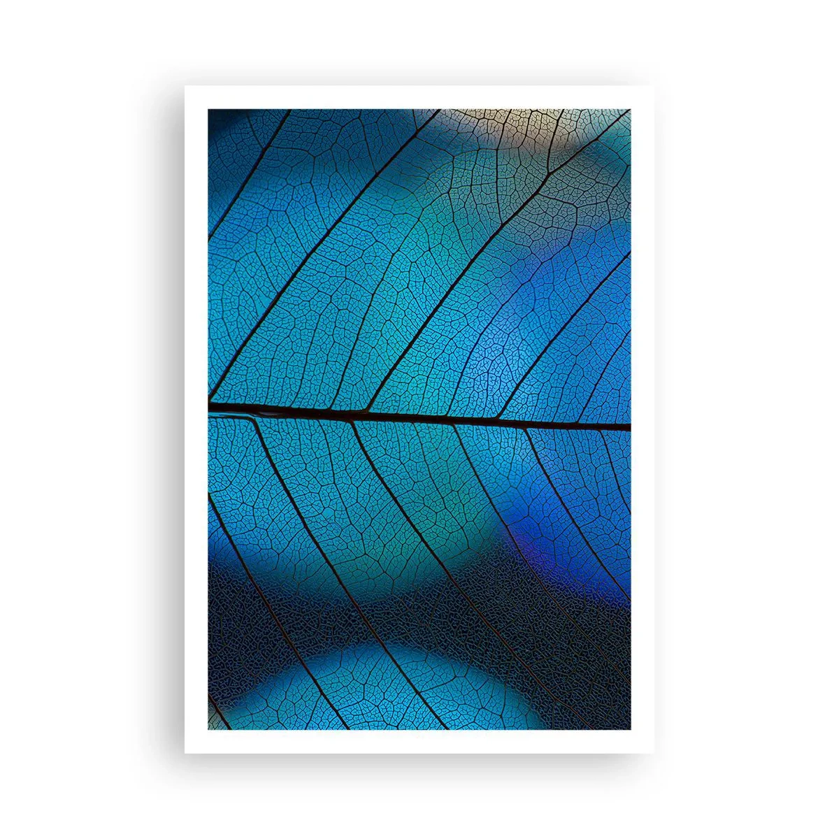 Pôster - Construção complexa - 70x100 cm