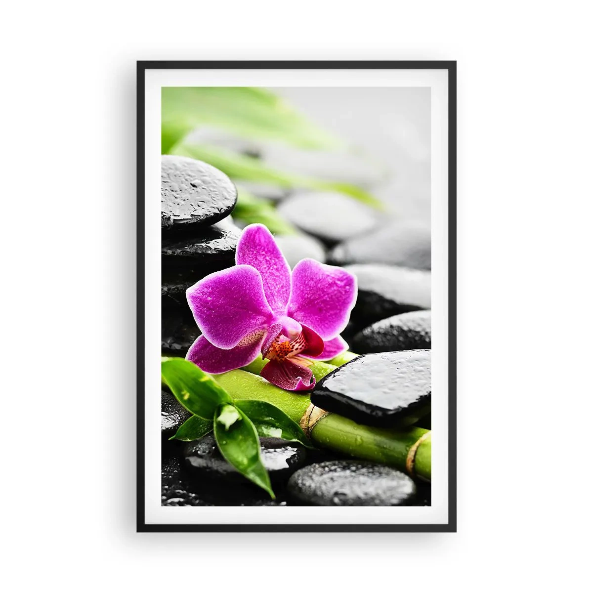 Pôster com moldura preta - Calmo equilíbrio - 61x91 cm