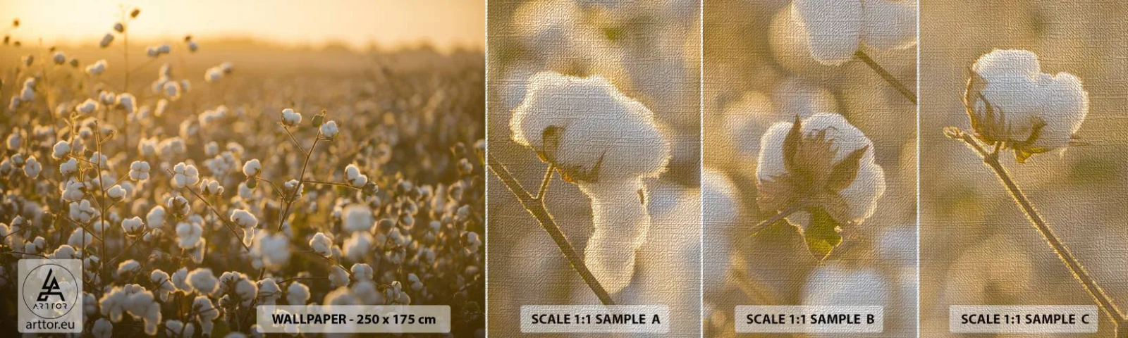 Amostra de papel de parede Premium Canvas - Campo macio - Campo de algodão, Ásia, Natureza - 100x30 cm