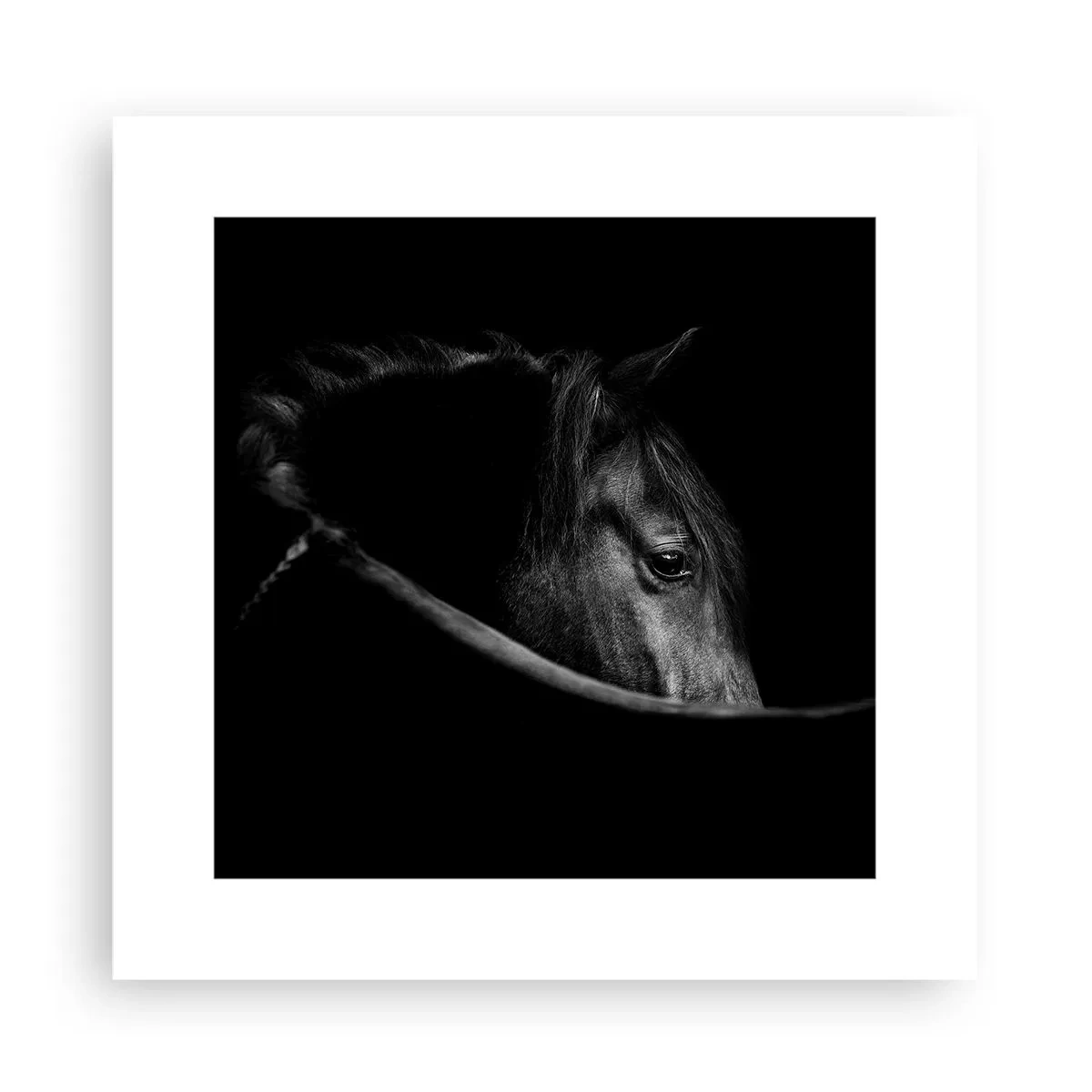 Pôster - Príncipe Negro - 30x30 cm
