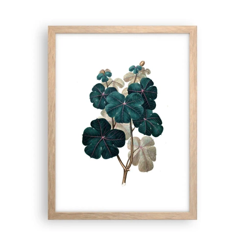 Pôster com moldura de carvalho claro - Do antigo herbário - 30x40 cm