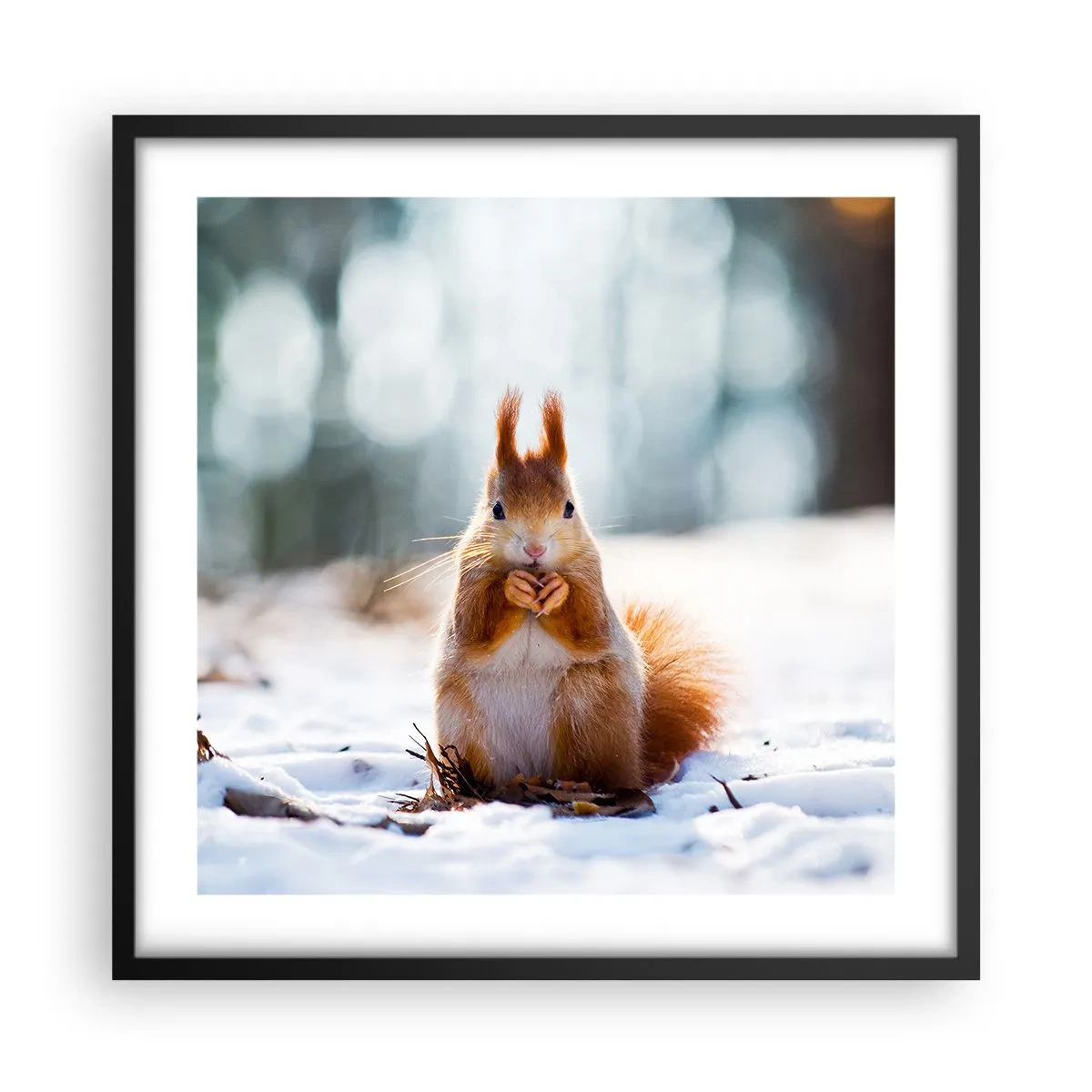 Pôster com moldura preta - Para o que estás a olhar? - 50x50 cm