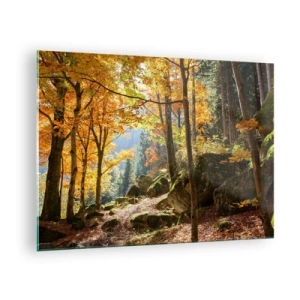 Quadro em vidro - Floresta de outono com raios de sol e pedras - 70x50cm - Tempo para descansar - Decoração de parede moderna para a sala de estar e quarto ARTTOR