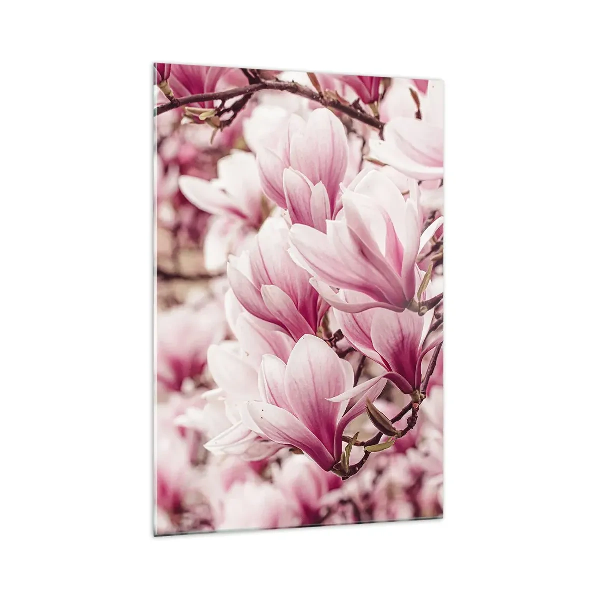 Quadro em vidro - A primavera é rosa - 70x100 cm