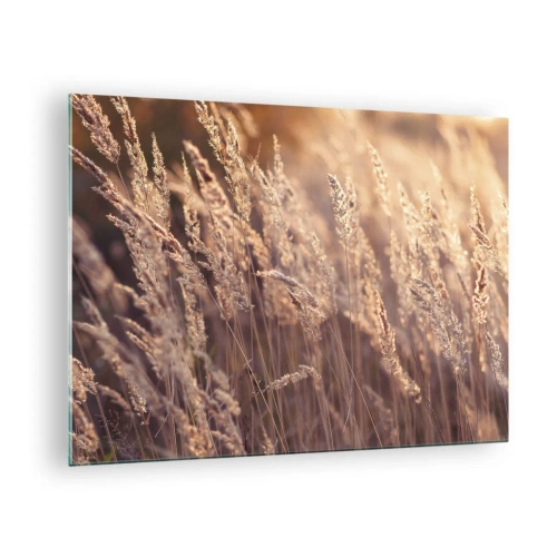 Quadro em vidro - Gramíneas douradas iluminadas pelos raios do sol poente - 70x50cm - Pronto para receber o outono - Decoração de parede moderna para a sala de estar e quarto ARTTOR