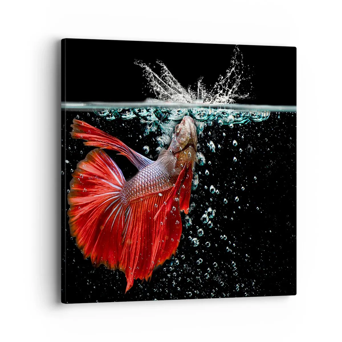 Quadro em tela - Tens três desejos - 40x40 cm