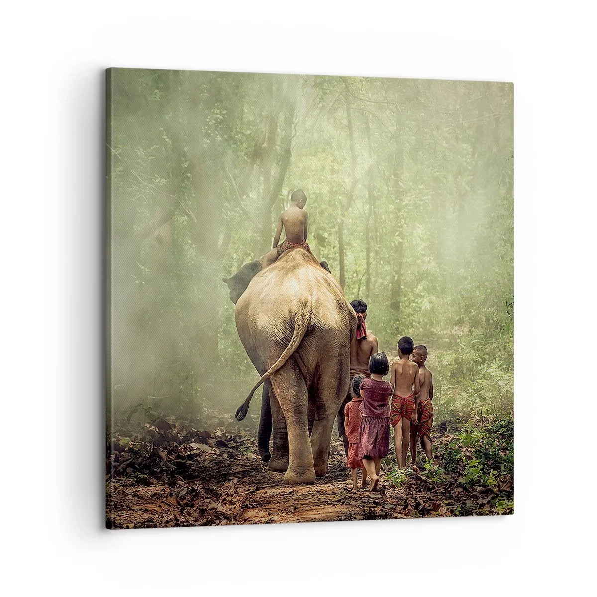 Quadro em tela - Novo Livro da Selva - 60x60 cm