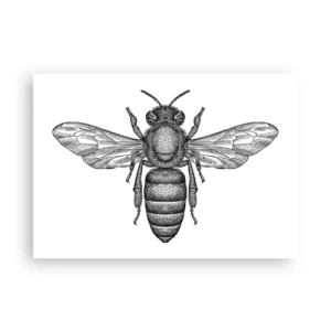 Pôster - Retrato de um inseto - 100x70 cm