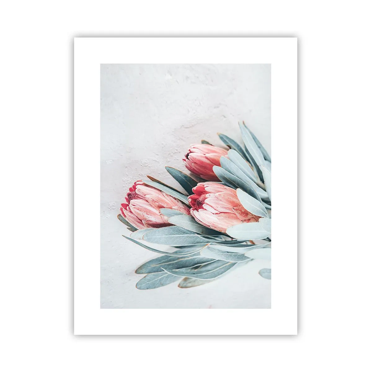 Pôster - Envergonhadas da sua própria beleza - 30x40 cm