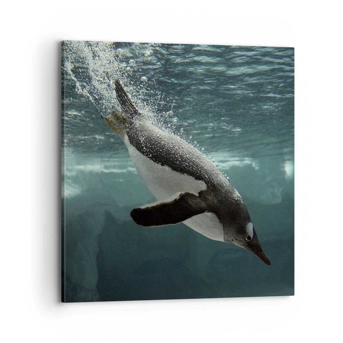 Quadro em tela - Bem-vindo ao meu mundo - 70x70 cm