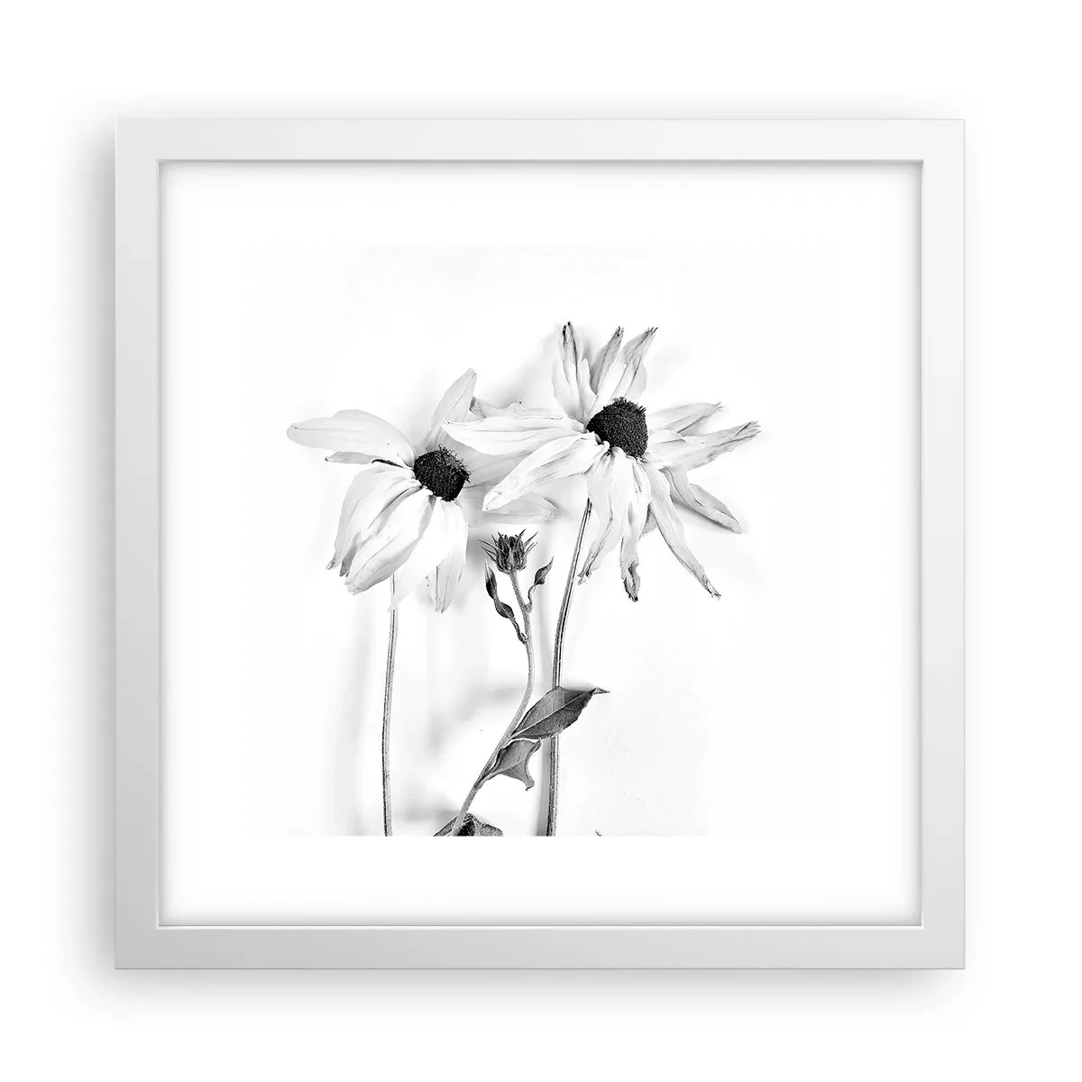 Pôster em moldura branca - Ninguém quer estar sozinho - 30x30 cm