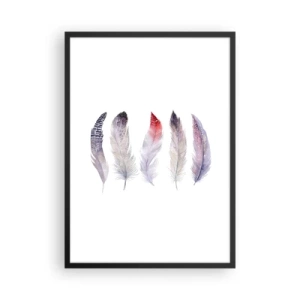 Pôster com moldura preta - Penas coloridas em um fundo branco em um estilo delicado - 50x70cm - Delicadas como uma névoa multicolorida - Decoração de parede moderna para a sala de estar e quarto ARTTOR