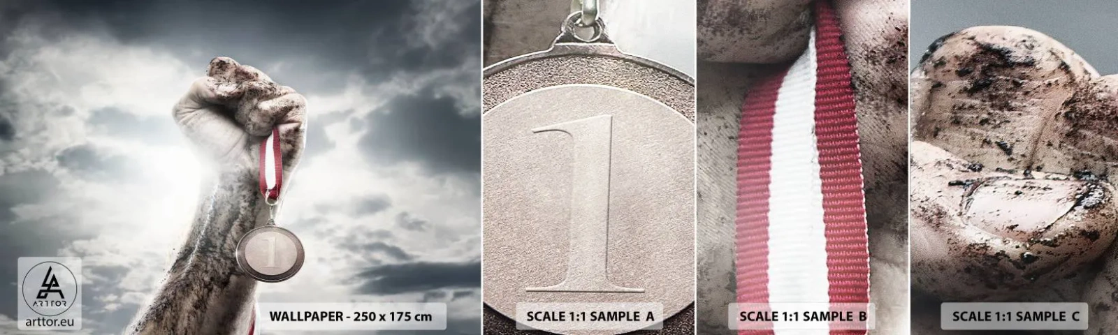 Amostra de Papel de Parede Standard Eco - Per aspera ad astra - Esporte, Medalha Esportiva, 3D - 100x30 cm