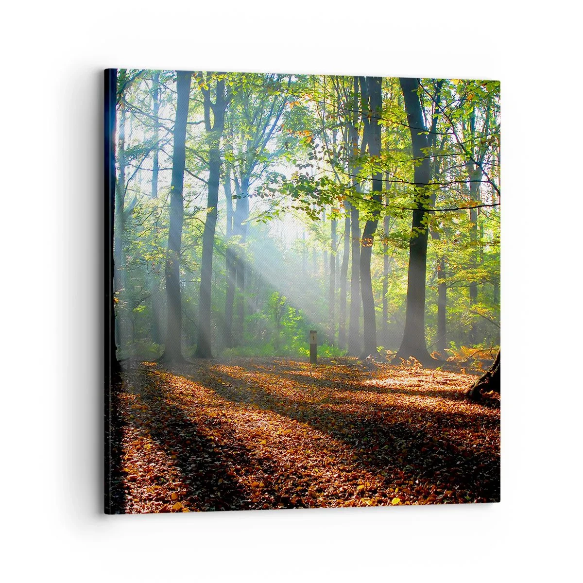 Quadro em tela - Luzes e sombras - 70x70 cm