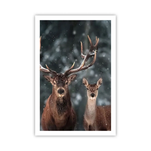 Pôster - O senhor da floresta com sua esposa - 61x91 cm