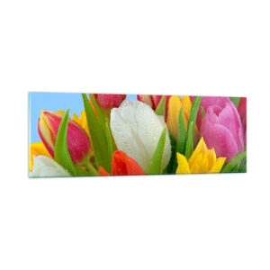 Quadro em vidro - Arco-íris floral em gotas de orvalho - 90x30 cm