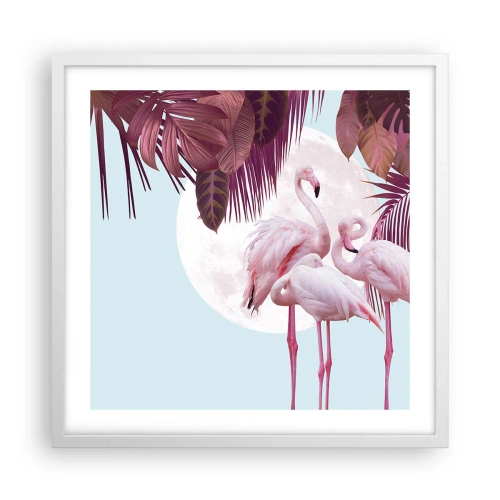 Pôster em moldura branca - Três graças de pássaros - 50x50 cm
