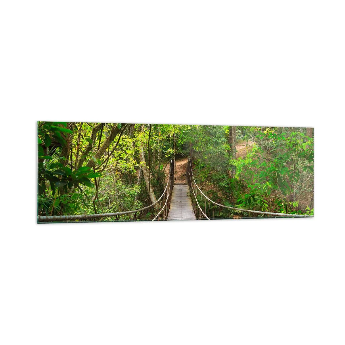 Quadro em vidro - Porque há uma videira a crescer no jardim - 160x50 cm