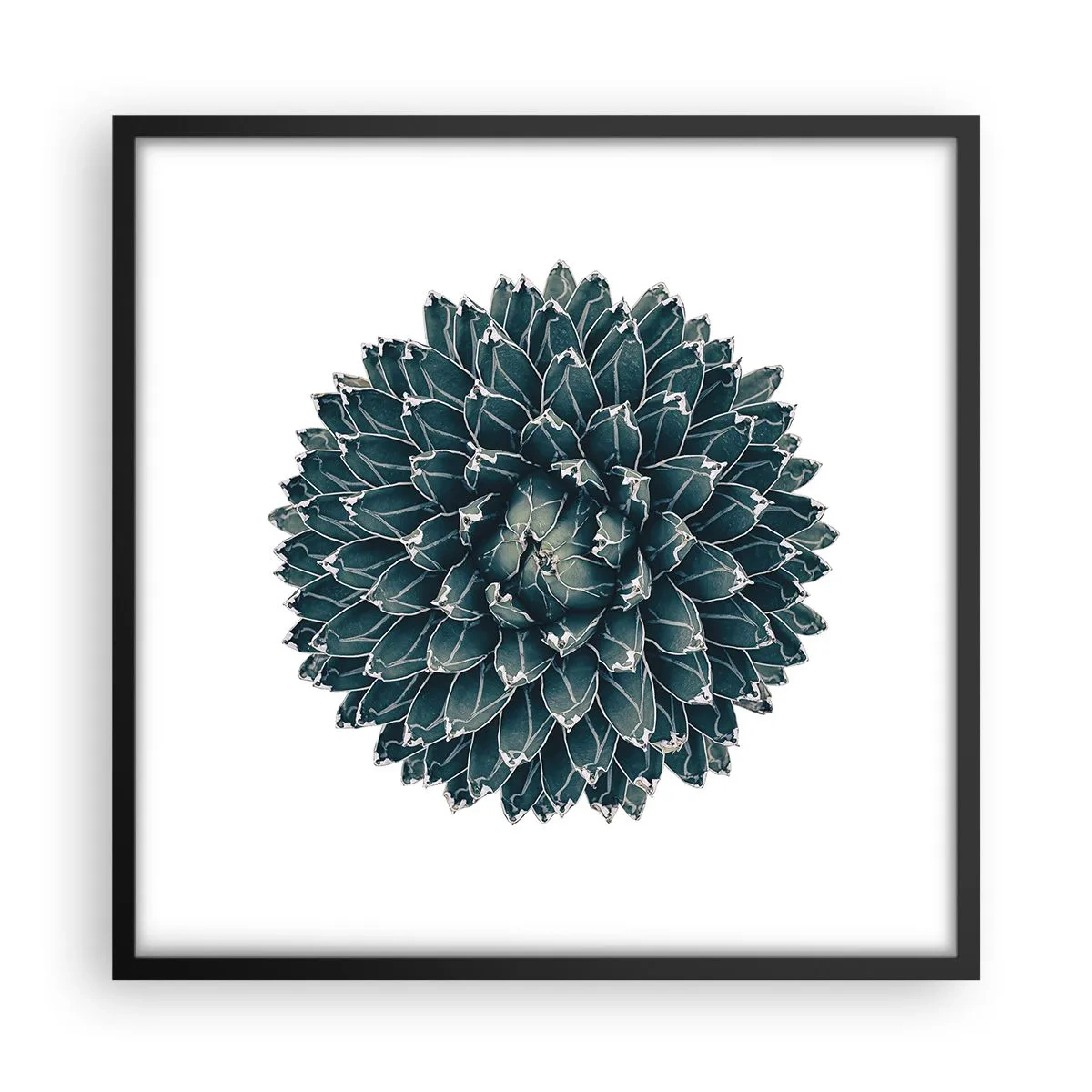 Pôster com moldura preta - Estrela do Deserto - 50x50 cm