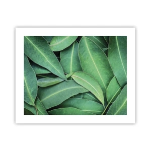 Pôster - Suculentas e frescas - 50x40 cm