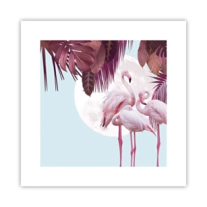 Pôster - Três graças de pássaros - 30x30 cm