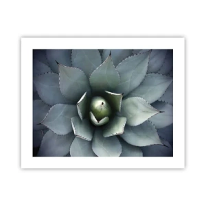 Pôster - Atrai e adverte - 50x40 cm