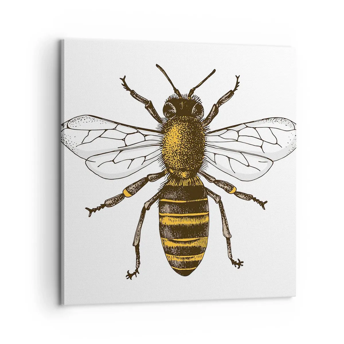 Quadro em tela - Linda e boa - 60x60 cm