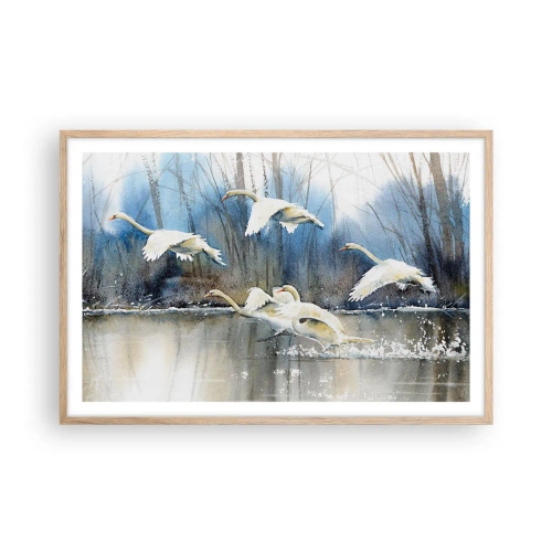 Pôster com moldura de carvalho claro - Como no conto de fadas sobre cisnes selvagens - 91x61 cm