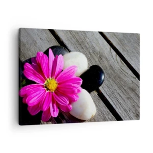 Quadro em tela - Flor rosa sobre fundo de tábuas de madeira com pedras - 70x50cm - Descanso no cais - Decoração de parede moderna para a sala de estar e quarto ARTTOR