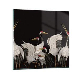 Quadro em vidro - Assuntos de aves - 60x60 cm