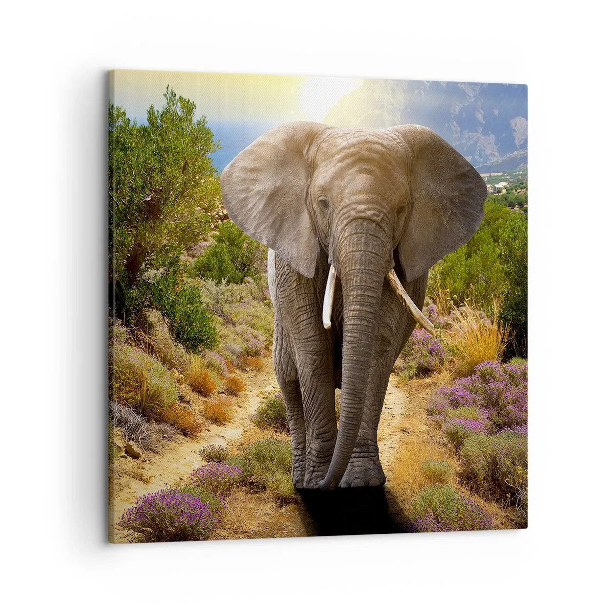 Quadro em tela - Assim era o Éden - 50x50 cm