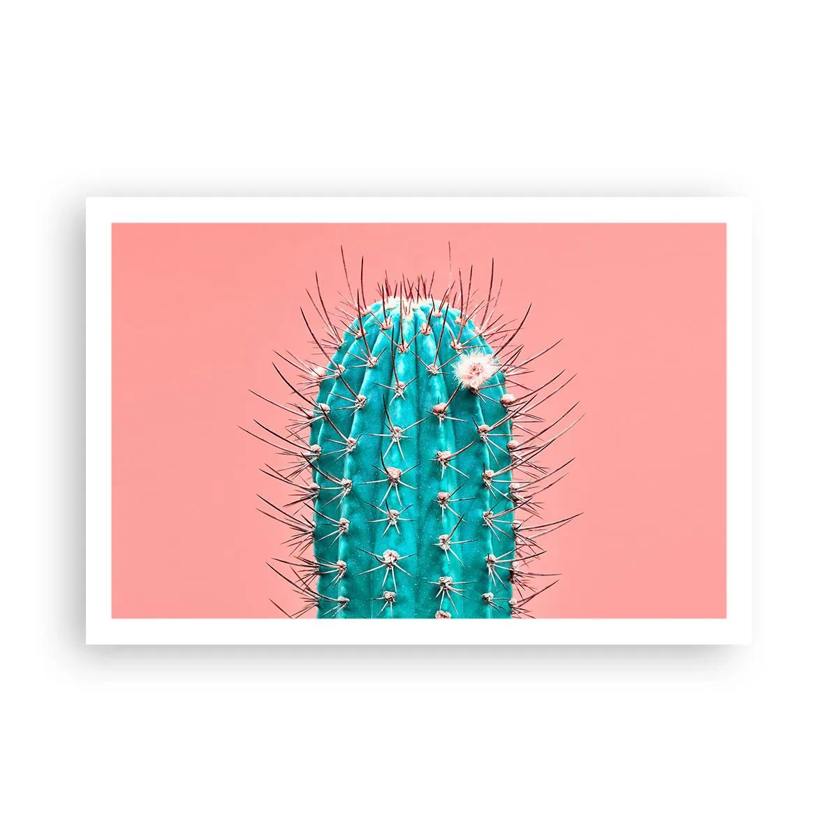 Pôster - Apenas olhe - 91x61 cm