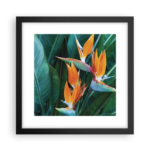 Pôster com moldura preta - É uma flor ou é um pássaro? - 30x30 cm