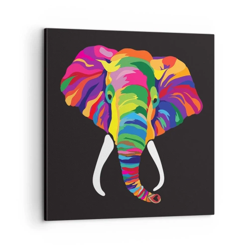 Quadro em tela - O elefante que adorava banhar-se no arco-íris - 60x60 cm