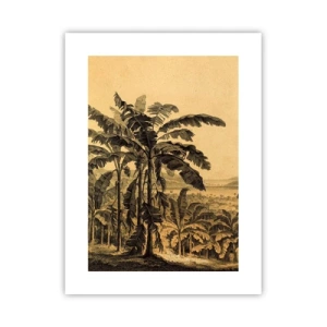 Pôster - num clima colonial - 30x40 cm