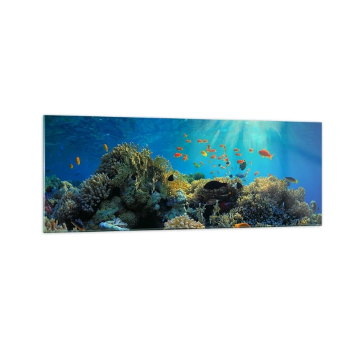 Quadro em vidro - Tesouros subaquáticos - 140x50 cm