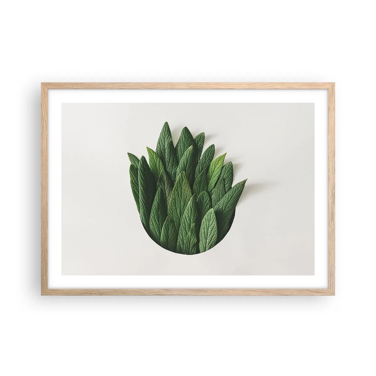 Pôster com moldura de carvalho claro - Curiosidade indomável - 70x50 cm