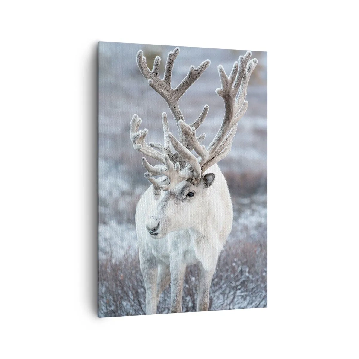 Quadro em tela - Retrato ao sol - 70x100 cm