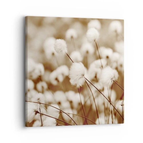 Quadro em tela - Campos felpudos - 30x30 cm