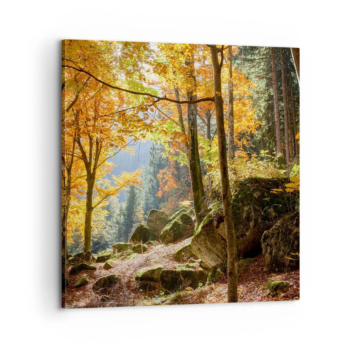 Quadro em tela - Tempo para descansar - 60x60 cm