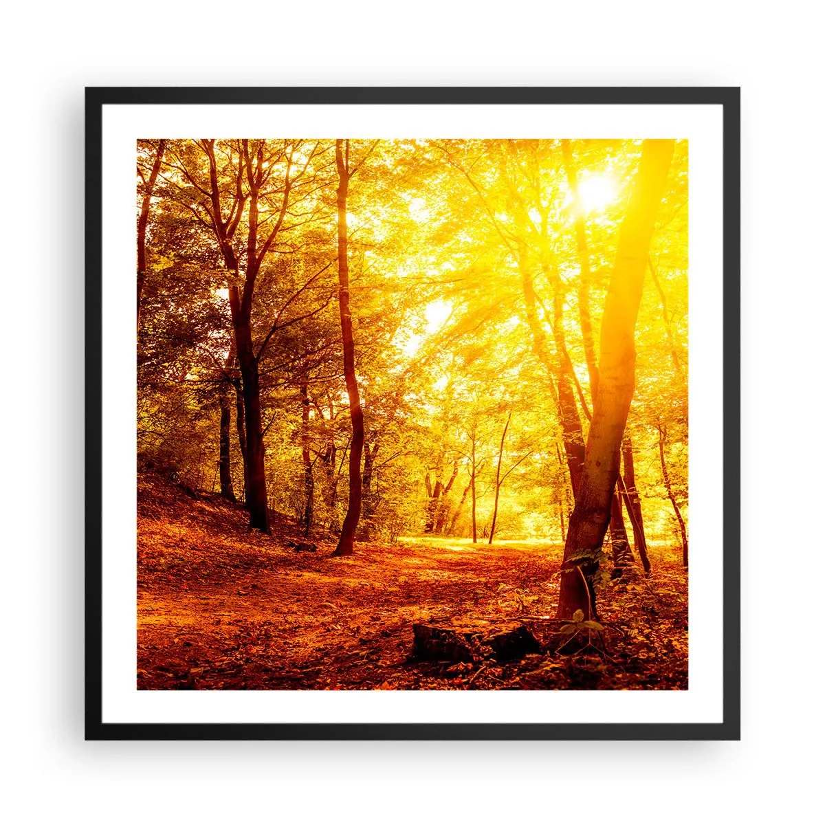Pôster com moldura preta - Rumo à clareira dourada - 60x60 cm