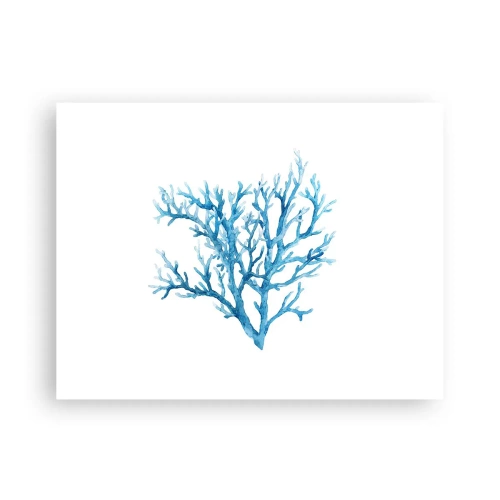 Pôster - Filigrana náutica - 40x30 cm