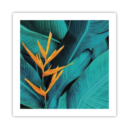 Pôster - Flor do Éden - 50x50 cm