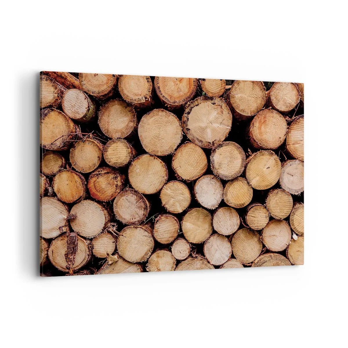 Quadro em tela - Um novo começo - 100x70 cm