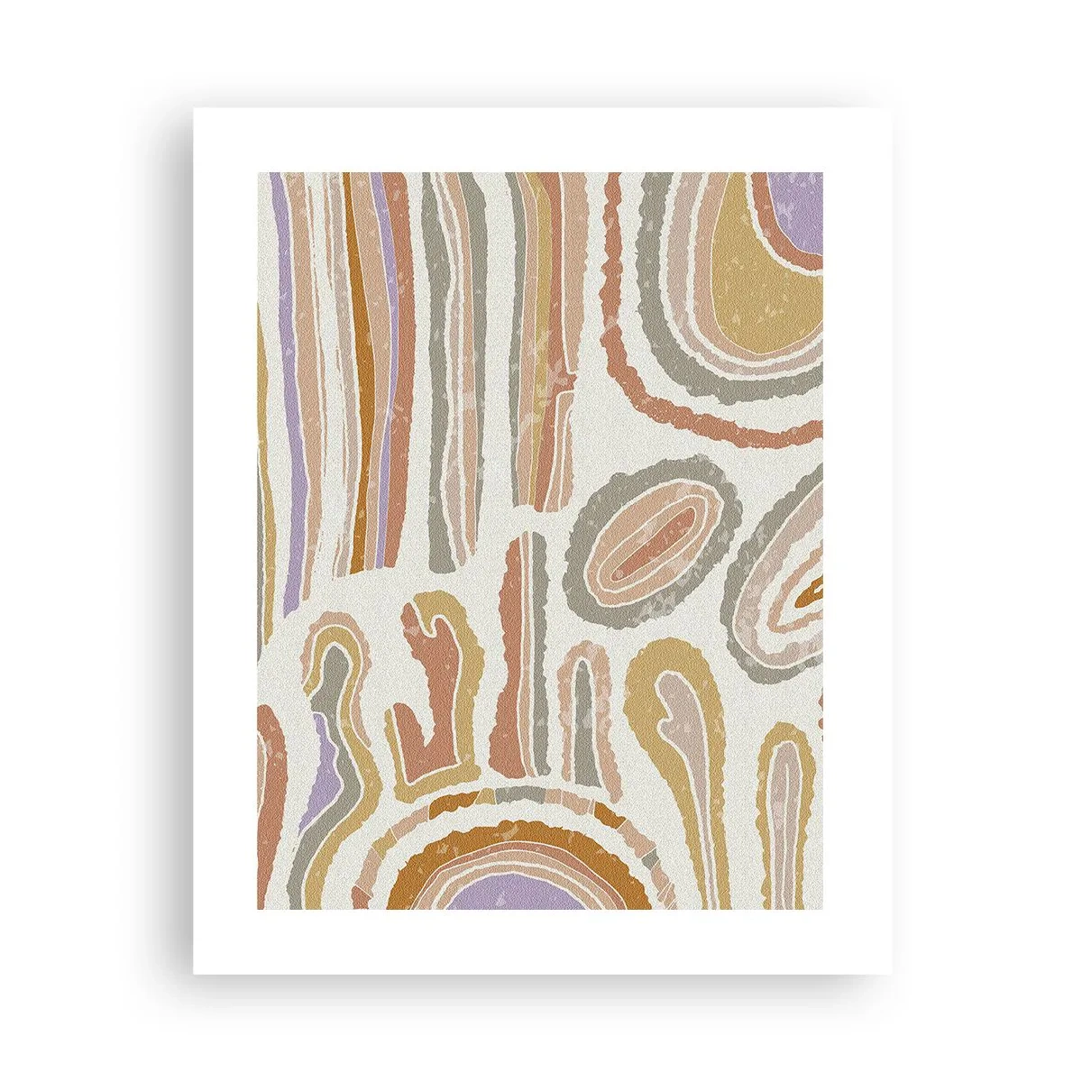 Pôster - Secções transversais coloridas - 40x50 cm