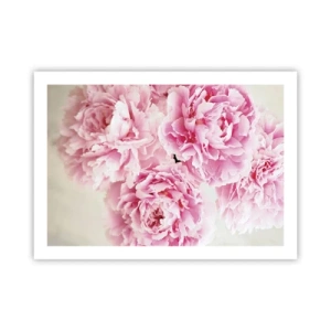 Pôster - Em esplendor rosa - 70x50 cm