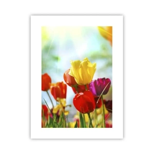 Pôster - Todas as cores do sol - 30x40 cm