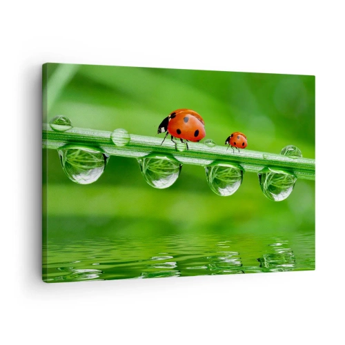 Quadro em tela - Joaninhas em uma folha de grama com gotas de orvalho em um ambiente natural - 70x50cm - Estrada do verão - Decoração de parede moderna para a sala de estar e quarto ARTTOR